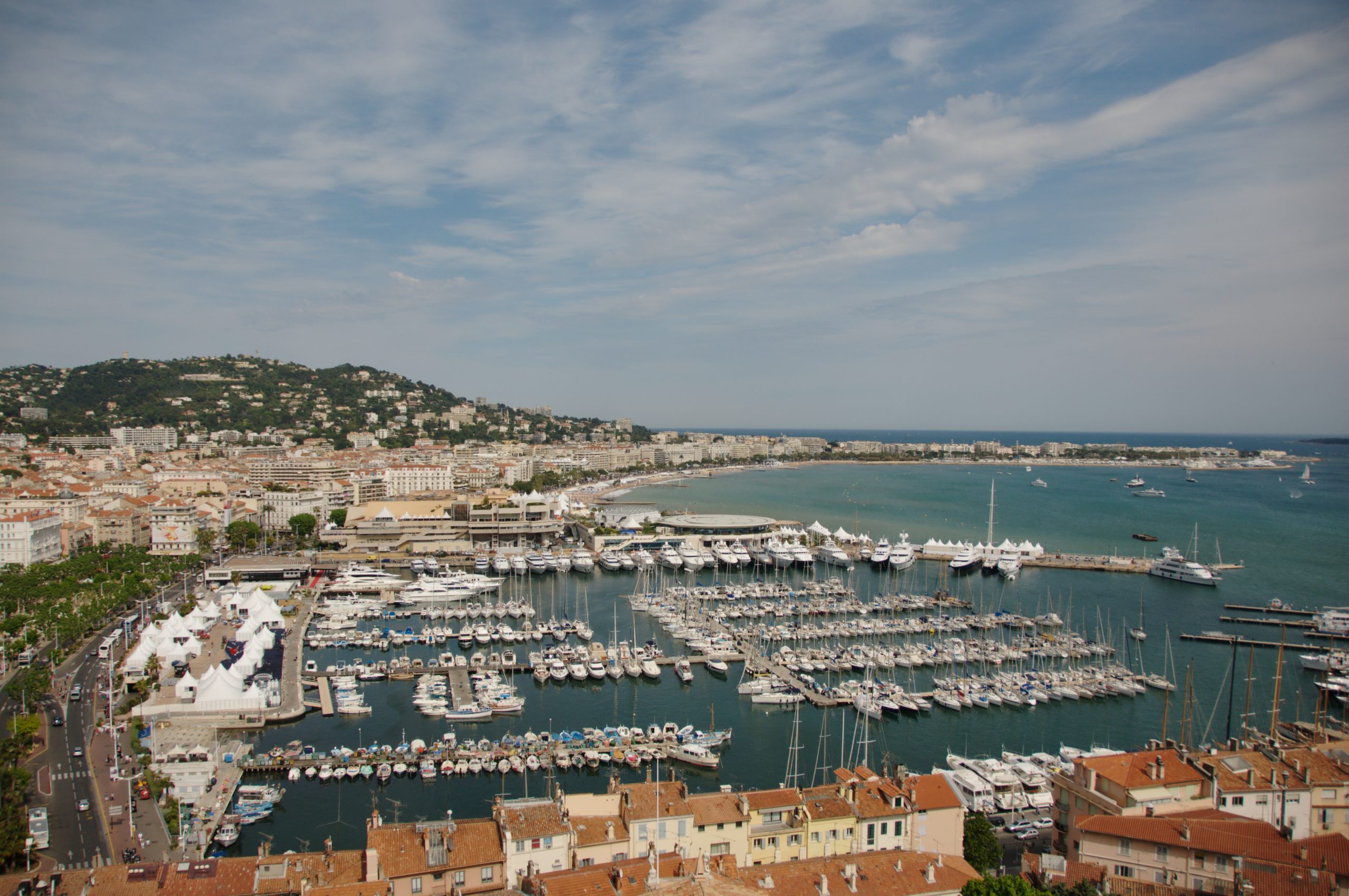 Traitement anti moucheron (06) Nice, Antibes, Cannes, Monaco - SOLUTY